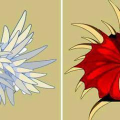 xEzXClan's profile picture. 