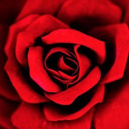 LDyaka's profile picture. 