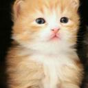 Melissa Tinoco - @melivit - Twitter