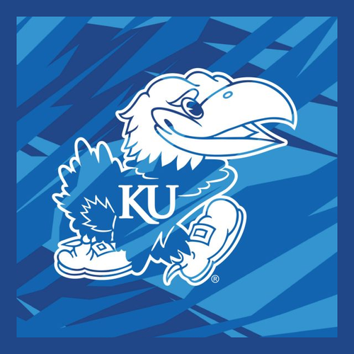 nick_a_coulter's profile picture. 