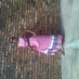 Fatima chitimbe (@champlicious) Twitter profile photo
