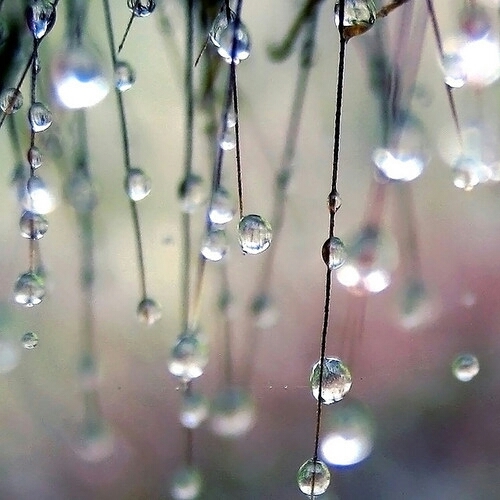 magdasss123's profile picture. 