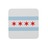 ChicagoCurators's profile image