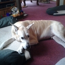 Jon Boren - @jdb1odu - Twitter