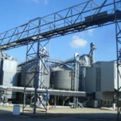 Grain Trading Director for Wessex Grain, specialising in quality grains to millers, maltsters and feed compounders. Interests include country sports and ale!