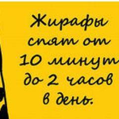 stanislavbahtin's profile picture. Мой твиттер-аккаунт