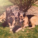 Michael Chapes - @MikieC13 - Twitter