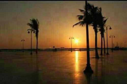 nharksaead's profile picture. 