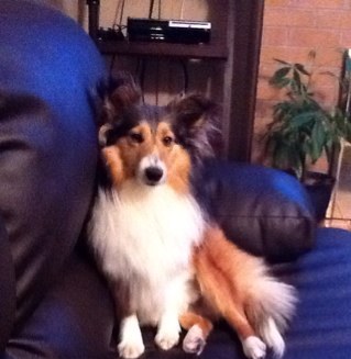 Erika_mcbride4's profile picture. 