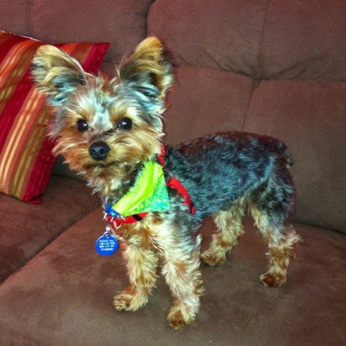 Dawn_m_E's profile picture. 