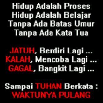 muhammadkiri's profile picture. human right, human being, humanity, everything is the divine values