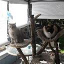 lupe cameron - @lupe429 - Twitter