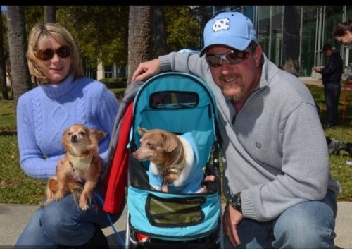 elinstocks's profile picture. 