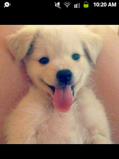 nieuw acc; @xdonkerblondje_