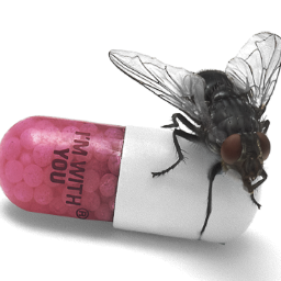 ChilesPimientos's profile picture. LOS ROJOS CHILES PIMIENTOS
MEXICO FAN WEB