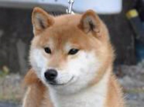 滑って転んで