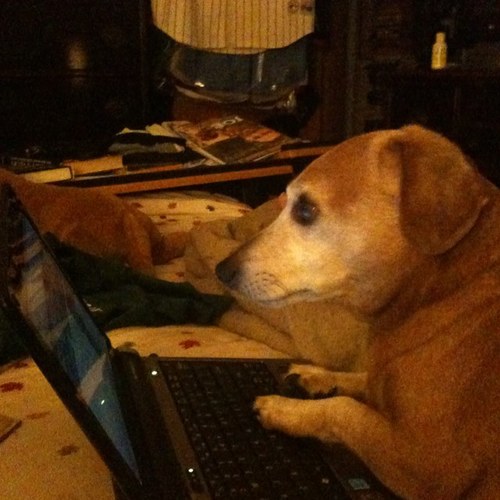 PricklyPear57's profile picture. 