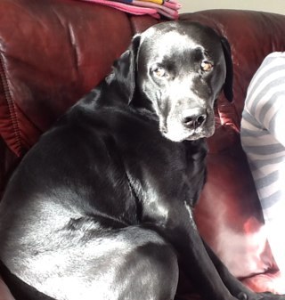 Alex_Chatt's profile picture. All I can say is I love gaming and I love the Yogscast, Most of the time ;) I play piano! Please visit my most used twitter account @Alex_Yogs