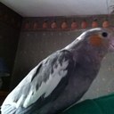 Eileen Cole - @EileenCole9 - Twitter