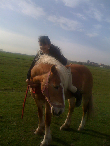 deze twitt is voor als ik tweet limiet heb op me andere account @ashwiniix
