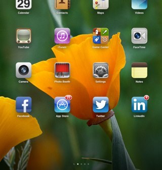 mpkelly's profile picture. 