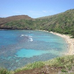 You cannot discover new oceans unless you have the courage to lose sight of the shore!