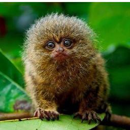 bandrews14's profile picture. 