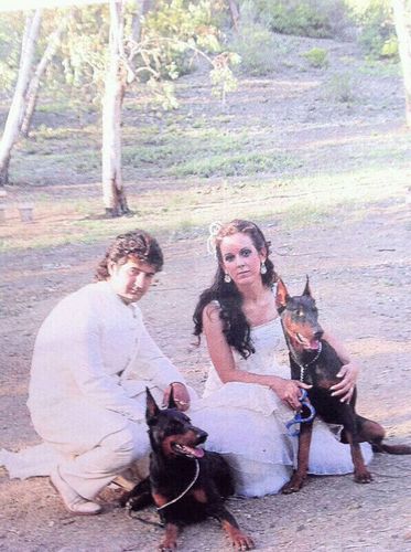 un perro no solo es un perro, es un ser con alma y corazon, que es mucho mas de lo que puede decirse de algunos que son solo humanos