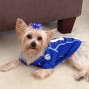 Tracy Pope - @macybe88 - Twitter