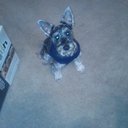 markayla johnson - @markayla1224 - Twitter