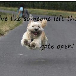 KittyKaren2's profile picture. i love @katyperry and i like #TranceMusic