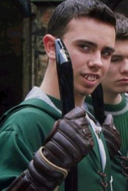 Flint. Marcus Flint. Quidditch Player. Slytherin house. Pureblood. Hogwarts