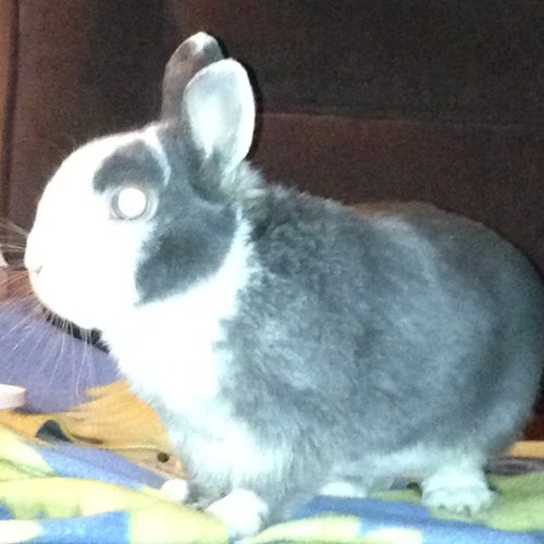 joanwalsh63's profile picture. 