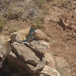 tedmarkg's profile picture. 