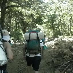 FelipeHoffmannL's profile picture. No necesito presentación