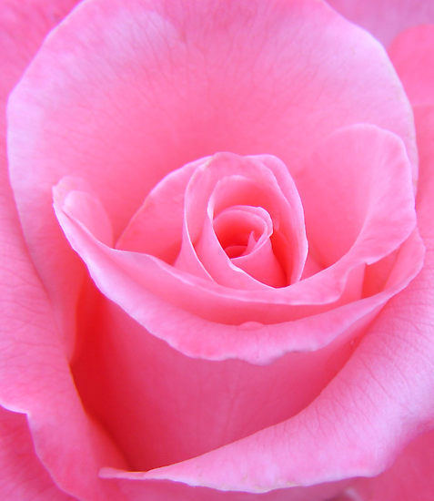 look_feel_great's profile picture. Giving you advice, information & helpful hints on how to look & feel great.