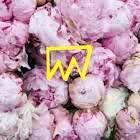 thievesoflife's profile picture. #illhueminati