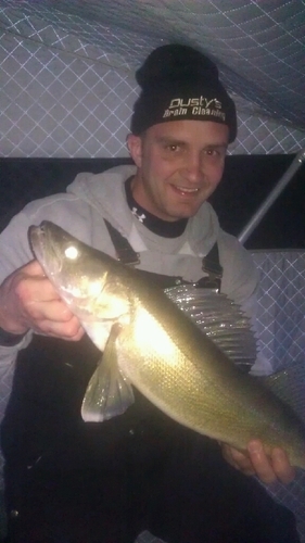 colt452281's profile picture. 