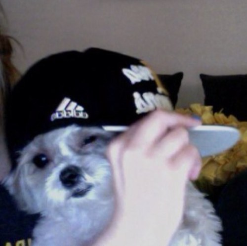 ItsOliveBenzo Profile Picture