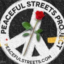 PeacefulStsNYC's profile picture. PSP is a grassroots undertaking uniting New Yorkers behind the goal of ending institutional violence via rights training and cop watching.