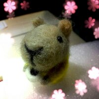 トリトリ。 (@toritori_atom) 's Twitter Profile Photo トリトリ。 (@toritori_atom) 's Twitter Profile Photo