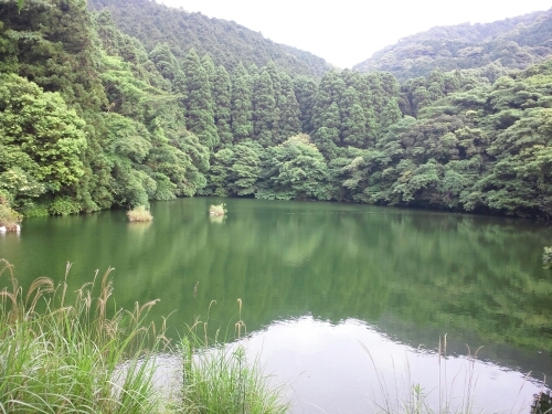 楽しくやってます。