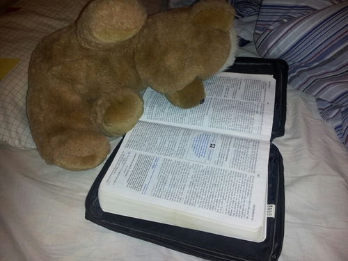 Meeekachu27's profile picture. A servant of God and of the Lord Jesus Christ. To the twelve tribes scattered among the nations. Greetings