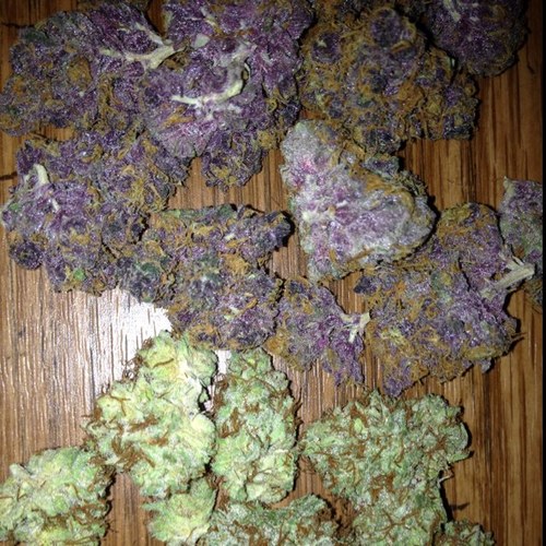 I smoke mad tree and like to play me some golf