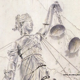 shreddily's profile picture. 