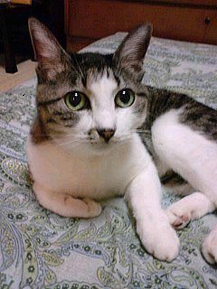 咲々🪷タオ東京4/2昼