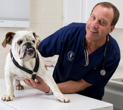 After over 30 years of practicing vet medicine, I have learned how to keep dogs healthier and cure chronic medical problems by feeding better ingredients.