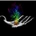 ஜெயரூபி(Jeyaruby) (@jeyaruby87) Twitter profile photo