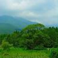 まは (@stupoecandh) 's Twitter Profile