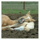 Alba Barreto - @alba_albarreto - Twitter